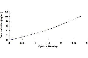 Typical standard curve (GPR78 ELISA Kit)