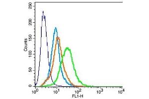 H9C2 cells probed with Rabbit Anti-KCNK3 Polyclonal Antibody, Unconjugated  at 6ug for 30 minutes followed by incubation with a conjugated secondary -FITC) (green) for 30 minutes compared to control cells (blue), secondary only (light blue) and isotype control (orange). (KCNK3 antibody  (AA 51-150))