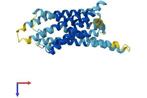 AlphaFold protein structure predicition of Mouse Recombinant Tas2r106 Protein, UniprotID Q7M724 (TAS2R106 Protein (AA 1-308) (His tag))