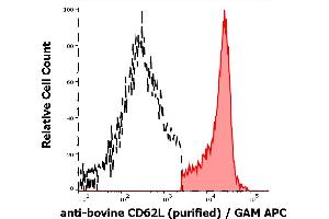 Separation of bovine CD62L positive lymphocytes (red-filled) from CD62L negative lymphocytes (black-dashed) in flow cytometry analysis (surface staining) of bovine peripheral whole blood stained using anti-bovine CD62L (IVA94) purified antibody (concentration in sample 1 μg/mL) GAM APC. (L-Selectin antibody)