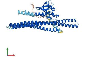 Protein Structure (PS) image for Sorting Nexin 32 (SNX32) (AA 1-403) protein (His tag) (ABIN7546142)