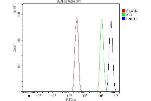Flow Cytometry analysis of SiHa cells using anti-RNGTT antibody (ABIN7599723). (RNGTT antibody  (AA 11-438))