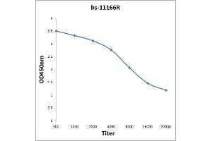 Antigen: 2 µg/100 µL  Primary: Antiserum, 1:500, 1:1000, 1:2000, 1:4000, 1:8000, 1:16000, 1:32000;  Secondary: HRP conjugated Rabbit Anti-Goat IgG at 1: 5000;  TMB staining Read the data in Microplate Reader by 450nm. (SORL1 antibody  (AA 2001-2100))