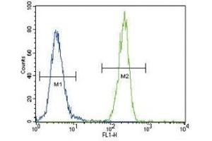 FOXP3 antibody flow cytometric analysis of 293 cells (right histogram) compared to a negative control cell (left histogram). (FOXP3 antibody  (AA 283-311))