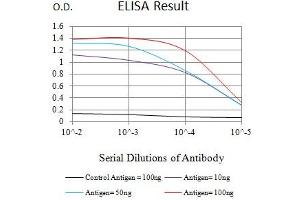 Black line: Control Antigen (100 ng),Purple line: Antigen (10 ng), Blue line: Antigen (50 ng), Red line:Antigen (100 ng) (Topoisomerase II alpha antibody  (AA 1100-1530))