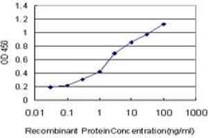 Detection limit for recombinant GST tagged DOCK4 is approximately 0. (DOCK4 antibody  (AA 1867-1966))