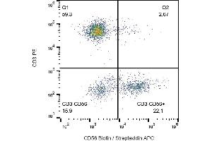 Flow cytometry analysis (surface staining) of human peripheral blood lymphocytes with anti-CD56 (MEM-188) biotin, streptavidin-APC. (CD56 antibody  (Biotin))