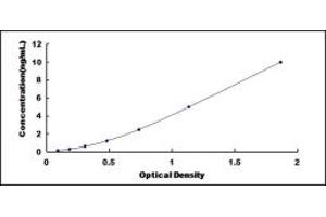 Typical standard curve (DUSP5 ELISA Kit)