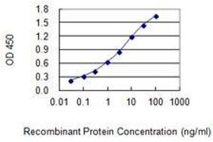 Detection limit for recombinant GST tagged C9orf169 is 0. (C9orf169 antibody  (AA 1-144))