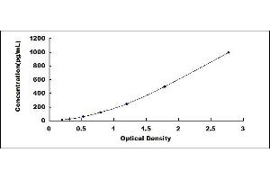 Typical standard curve (CCL7 ELISA Kit)