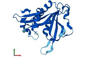 AlphaFold protein structure predicition of Human Recombinant NAA20 Protein, UniprotID P61599