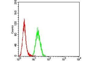 Flow cytometric analysis of Hela cells using *** mouse mAb (green) and negative control (red). (DNM2 antibody  (AA 520-744))