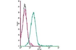 Cell surface detection of Corticotropin-releasing factor receptor 1 by indirect flow cytometry in live intact mouse P815 mastocytoma cells: (black line) Cells. (CRHR1 antibody  (Extracellular, N-Term))