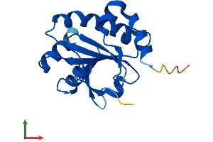 AlphaFold protein structure predicition of Human Recombinant NXNL2 Protein, UniprotID Q5VZ03