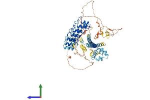 AlphaFold protein structure predicition of Human Recombinant ANKS3 Protein, UniprotID Q6ZW76 (ANKS3 Protein (AA 1-656) (His tag))