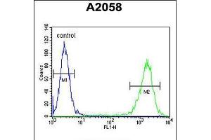 Flow cytometric analysis of A2058 cells (right histogram) compared to a negative control cell (left histogram). (Parathymosin antibody  (C-Term))