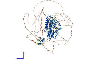 AlphaFold protein structure predicition of Mouse Recombinant Cbl Protein, UniprotID P22682 (CBL Protein (AA 1-913) (His tag))