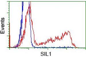 Image no. 1 for anti-Nucleotide Exchange Factor SIL1 (SIL1) antibody (ABIN1496810)
