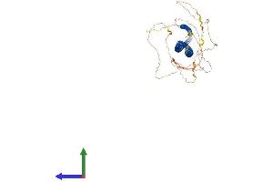 Protein Structure (PS) image for Leucine Zipper, Putative Tumor Suppressor 2 (LZTS2) (AA 1-669) protein (His tag) (ABIN7554444)