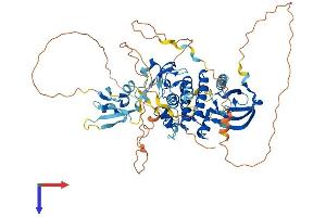 AlphaFold protein structure predicition of Mouse Recombinant Raf1 Protein, UniprotID Q99N57 (RAF1 Protein (AA 1-648) (His tag))