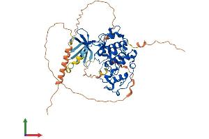AlphaFold protein structure predicition of Mouse Recombinant Cdk14 Protein, UniprotID O35495