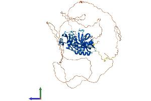 AlphaFold protein structure predicition of Human Recombinant C18orf63 Protein, UniprotID Q68DL7 (C18orf63 Protein (AA 1-685) (His tag))