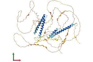AlphaFold protein structure predicition of Human Recombinant CCDC120 Protein, UniprotID Q96HB5 (CCDC120 Protein (AA 1-630) (His tag))