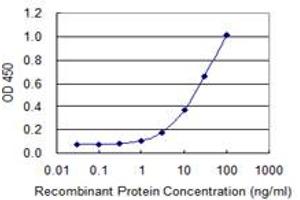 Detection limit for recombinant GST tagged SLC25A25 is 0. (SLC25A25 antibody  (AA 2-110))