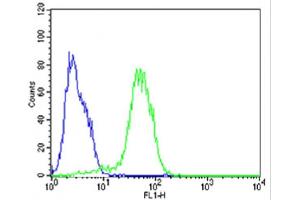 Flow cytometric analysis of HepG2 cells using (Mouse) Epcam Antibody (C-term)(green, Cat(ABIN6242229 and ABIN6577822)) compared to an isotype control of rabbit IgG(blue). (EpCAM antibody  (C-Term))