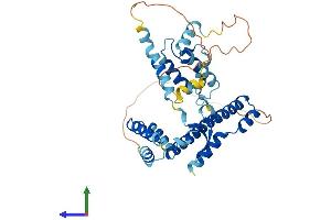 AlphaFold protein structure predicition of Mouse Recombinant Dnajb12 Protein, UniprotID Q9QYI4
