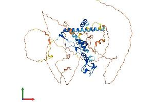 Protein Structure (PS) image for Cysteine-serine-Rich Nuclear Protein 1 (CSRNP1) (AA 1-583) protein (His tag) (ABIN7556537)