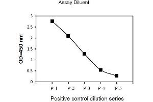 Image no. 2 for Tyrosine Kinase 2 (TYK2) ELISA Kit (ABIN1981732) (TYK2 ELISA Kit)