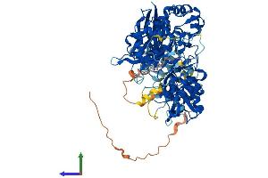 AlphaFold protein structure predicition of Mouse Recombinant Plcd3 Protein, UniprotID Q8K2J0 (Phospholipase C delta 3 Protein (PLCd3) (AA 1-785) (His tag))