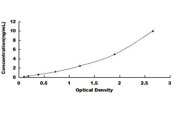 MBP ELISA Kit