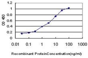 Detection limit for recombinant GST tagged POLI is approximately 0. (POLI antibody  (AA 616-715))