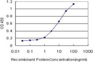 Detection limit for recombinant GST tagged TSC22D4 is approximately 0. (TSC22D4 antibody  (AA 1-395))