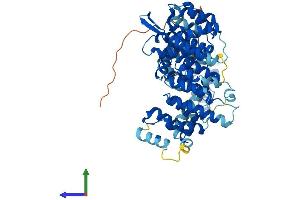 AlphaFold protein structure predicition of Mouse Recombinant Nelfcd Protein, UniprotID Q922L6 (TH1-Like Protein (TH1L) (AA 1-591) (His tag))