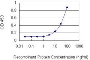 Detection limit for recombinant GST tagged PIK3AP1 is 1 ng/ml as a capture antibody. (PIK3AP1 antibody  (AA 601-700))