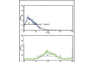 Flow cytometric analysis of NCI- cells using SAR1A Antibody (Center)(bottom histogram) compared to a negative control cell (top histogram). (SAR1A antibody  (AA 122-149))