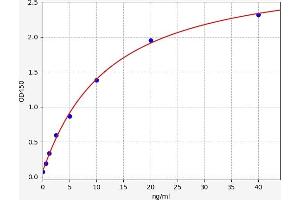 Typical standard curve