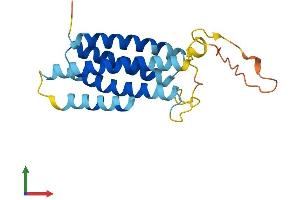 AlphaFold protein structure predicition of Human Recombinant NKAIN3 Protein, UniprotID Q8N8D7 (Na+/K+ Transporting ATPase Interacting 3 (NKAIN3) (AA 1-197) protein (His tag))