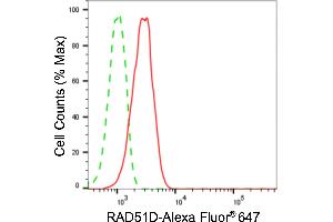 Flow cytometric analysis of RAD51D expression in HeLa cells using RAD51D antibody (ABIN7800120), 1:2,000). (Recombinant RAD51D antibody)