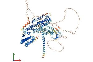 AlphaFold protein structure predicition of Mouse Recombinant Rasgrp1 Protein, UniprotID Q9Z1S3 (RASGRP1 Protein (AA 1-795) (His tag))