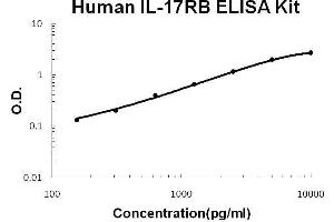 Human IL-17RB PicoKine ELISA Kit standard curve