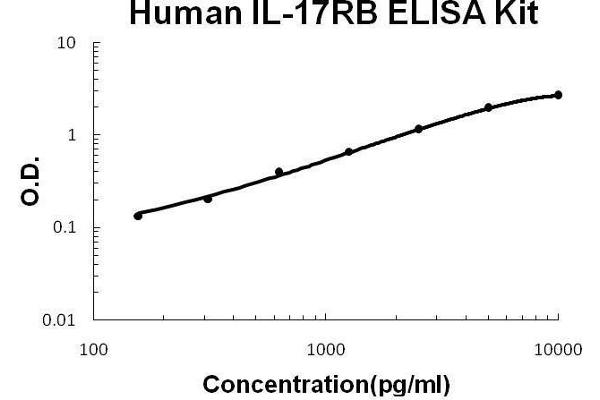 IL17 Receptor B ELISA 试剂盒
