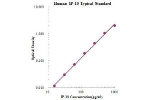 ELISA image for Chemokine (C-X-C Motif) Ligand 10 (CXCL10) ELISA Kit (ABIN3198519)