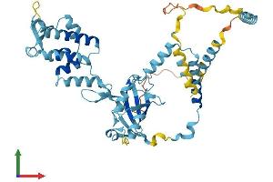 Protein Structure (PS) image for UBX Domain Protein 6 (UBXN6) (AA 1-441) protein (His tag) (ABIN7544991)