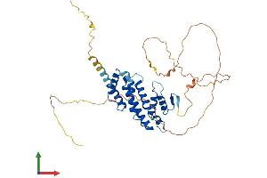AlphaFold protein structure predicition of Mouse Recombinant Prr5 Protein, UniprotID Q812A5