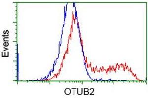 HEK293T cells transfected with either RC209650 overexpress plasmid (Red) or empty vector control plasmid (Blue) were immunostained by anti-OTUB2 antibody (ABIN2453412), and then analyzed by flow cytometry. (OTUB2 antibody)