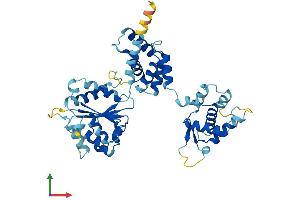 AlphaFold protein structure predicition of Human Recombinant ORC4 Protein, UniprotID O43929 (ORC4 Protein (AA 1-436) (His tag))